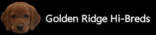 Golden Ridge Hi-Breds
